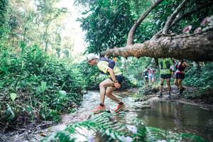 BIB: 
                            <button type="button" onclick="openModal(25441801)" class="btn btn-primary btn-sm float-right btn-popup" data-toggle="modal" data-target=".modal-high-quality">
                        <i class="fas fa-shopping-cart"></i> Add to Cart
                    </button>
                                            <button type="button" onclick="isThisMe(25441801, true)" class="btn btn-success btn-sm float-right btn-popup btn-isme hidden" data-toggle="tooltip" data-placement="bottom" title="นี่คือรูปของคุณใช่ไหม คลิกที่นี่เพื่อเอาเข้าอัลบั้ม">
                        <i class="fas fa-plus"></i> Add to album
                    </button>
                    <button type="button" onclick="isThisMe(25441801, false)" class="btn btn-warning btn-sm float-right btn-popup btn-isnotme hidden">
                        <i class="fas fa-ban"></i> Remove from album
                    </button>